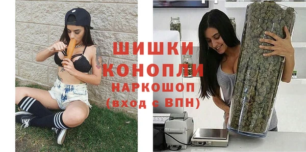 хмурый Абаза