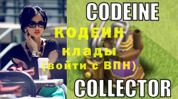 хмурый Абаза