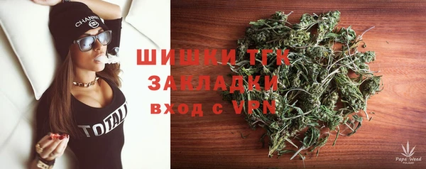 хмурый Абаза