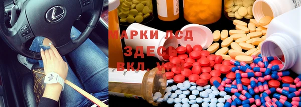 хмурый Абаза